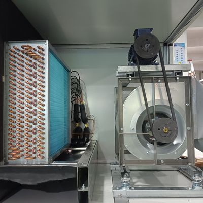 With PLC Remote Function Moisture Adsorb Rotary Dehumidifier For Printshop Air Dryer Dehumidifier